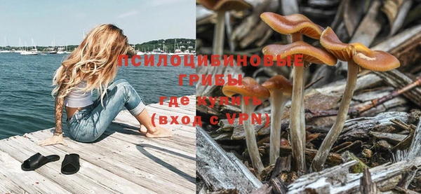 гашик Беломорск