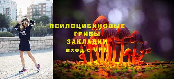MDMA Богородск