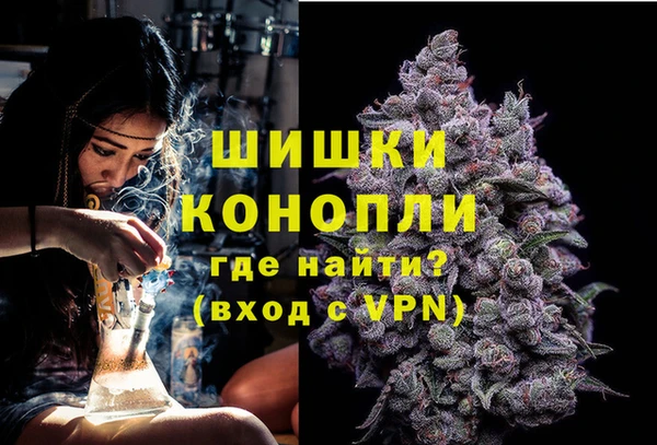 трава Богданович