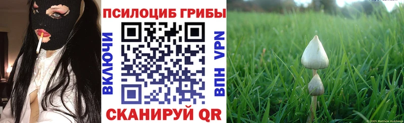 где купить наркоту  MEGA сайт  Псилоцибиновые грибы Magic Shrooms  Будённовск 